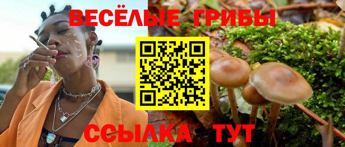 Павловский Посад  Псилоцибиновые грибы прущие грибы  Вход с VPN  Псилоцибиновые грибы MAGIC MUSHROOMS 