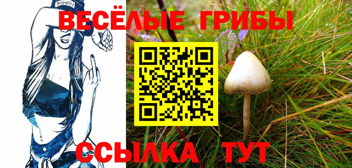 Псилоцибиновые грибы Cubensis Павловский Посад
